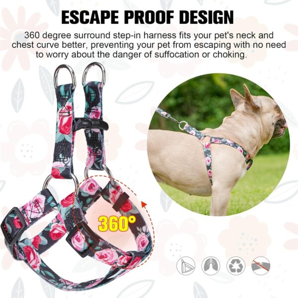 BEAUTYZOO No Pull Small Dog Harness and Leash Set, No Chock Puppy Step in Vest Harness Nylon Lightweight Neck&Chest Adjustable for Dogs Girls and Boy, Pet Harness for Small Medium Dogs - Image 5