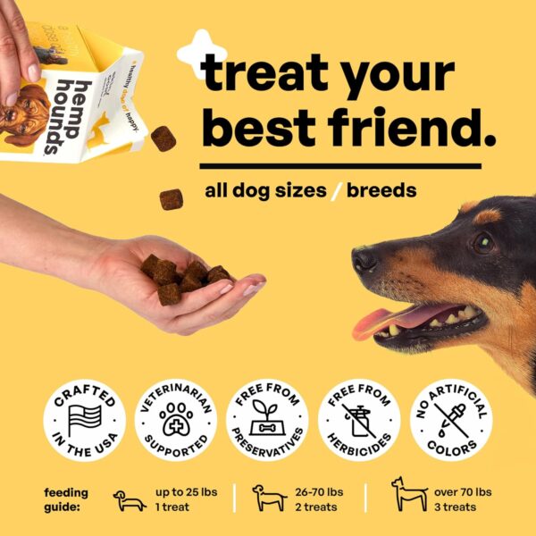 Adaptogenic Skin and Coat Chews for Dogs - 90 Chews - Nutrient Rich Dog Allergy Relief - Omega 3-6-9 - Norwegian Salmon Oil - Collagen - Turmeric - Beef Flavor - Dog Itch Relief - Image 4