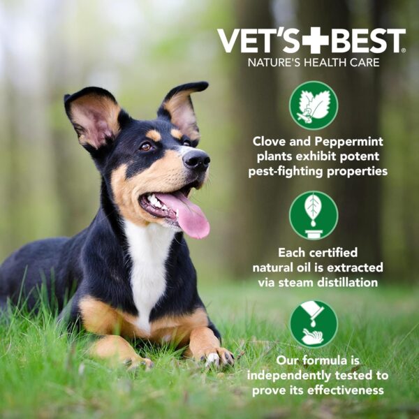 Vet's Best Anti-Flea Spray Shampoo - Dog Flea and Tick Treatment - Plant-Based Formula - Certified Natural Oils - 16 oz - Image 6