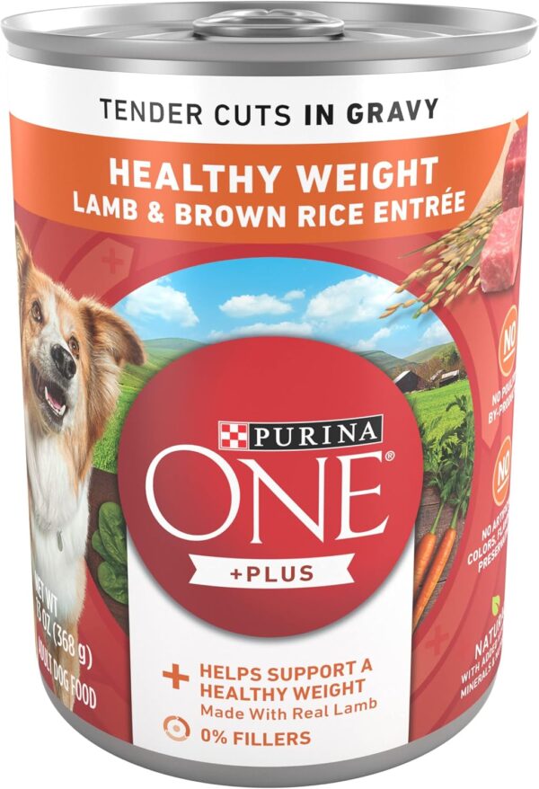 Purina ONE Plus Tender Cuts in Gravy Healthy Weight Lamb and Brown Rice Entree in Wet Dog Food Gravy - (Pack of 12) 13 oz. Cans