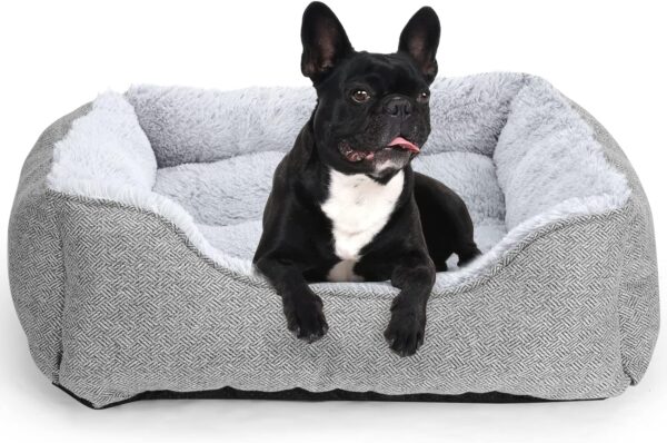 FURTIME Small Dog Beds for Small Dogs, Rectangle Washable Dog Bed, Orthopedic Dog Bed Soft and Comfy Calming Puppy Bed Waterproof Dog Cuddler Sofa Pet Bed with Anti-Slip Bottom S(20''x19''x6'')