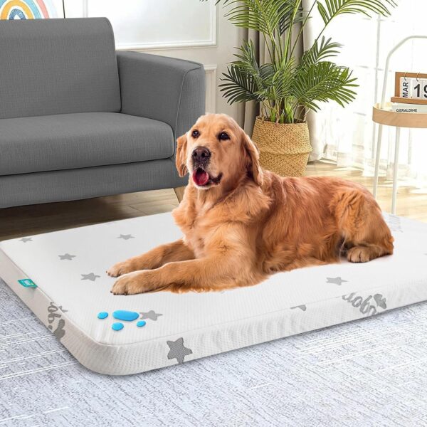 Biloban Waterproof Dog Beds for (Large) Dogs, Washable Dog Bed Mat Pad or Pet Bed, Memory Foam Dog Beds & Furniture for Small/Medium Large/XL/XXL Dogs with Removable Cover (Light Grey)