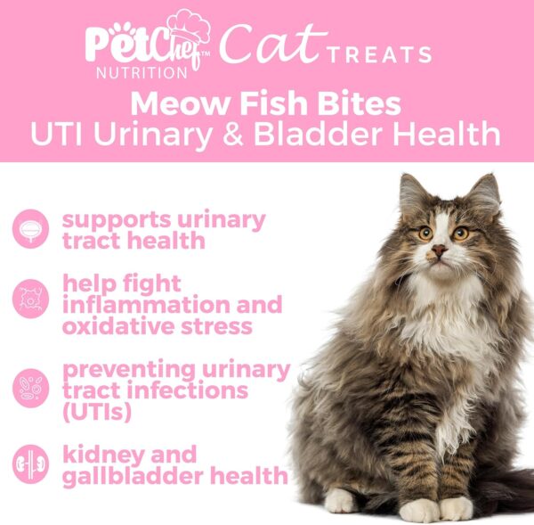 Pet Chef CAT Treats: Cat Bladder Health & UTI Prevention. Reduce, heal & Stop Kidney, Bladder and Painful UTIs. Cat Supplements with Amazing Benefits. Natural, Organic Holisitic Health. Low Calories. - Image 5