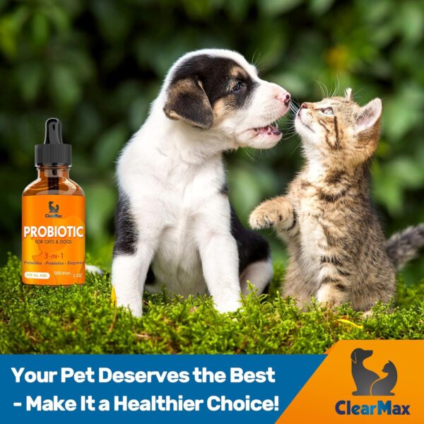 Probiotics for Dogs ◆ Cat Probiotic ◆ Great Dog Probiotics and Digestive Enzymes for Pet ◆ Dog Digestive Enzymes & Pure Prebiotic ◆ Canine Probiotic ◆ Probiotics for Cats ◆ Puppy Probiotic - Image 8