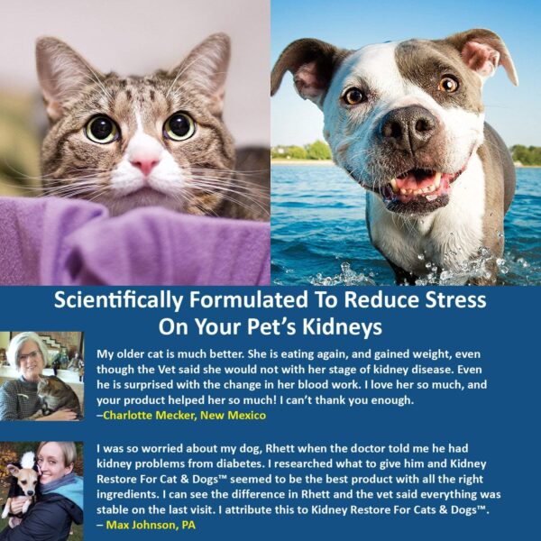 Kidney Restore Cats & Dogs 3-Pack to Support Normal Kidney Function, Creatinine, Pet Renal Kidney Health Supplement Felines Canines - Image 5