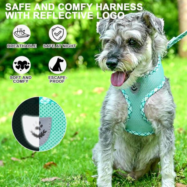 BINGPET Small Dog Harness and Leash Collar Set,Soft Mesh Reflective Dog Vest Harness No Pull,Step in Puppy Harness for Small Medium Dogs Outdoor Walking,Lightweight Adjustable Pet Harness(Green,M) - Image 2