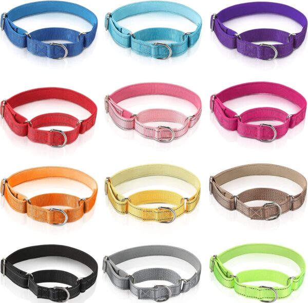 Cunno 12 Pcs Martingale Collar for Medium Dogs Reflective Dog Collar with Durable Metal Buckle Adjustable Nylon Pet Collar Prevent Slipping out Puppy Collars for Dog, 12 Colors (Large)