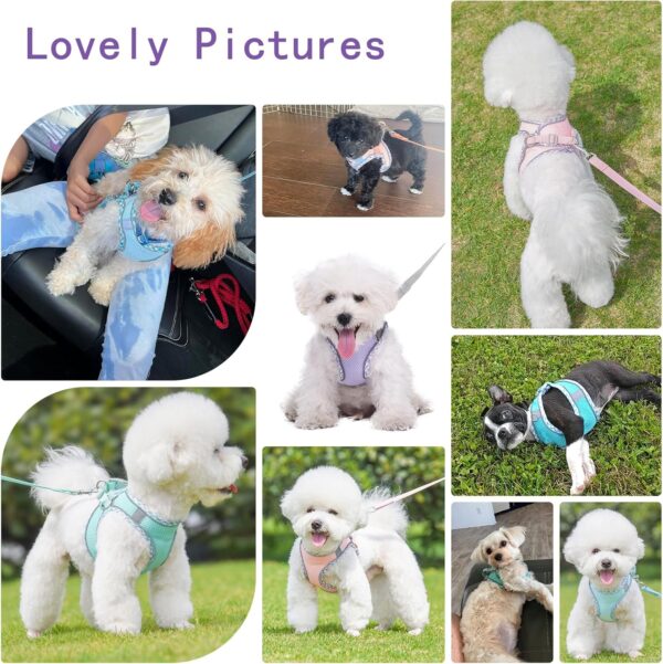 Cute Plaid No Pull Dog Harness for Small Dogs Soft Mesh Small Dog Harness and Leash Set Easy Walk Step in Puppy Harness Vest Pet Cat Chihuahua Yorkie Shih Tzu Dog Harnesses (Purple,XXS) - Image 7