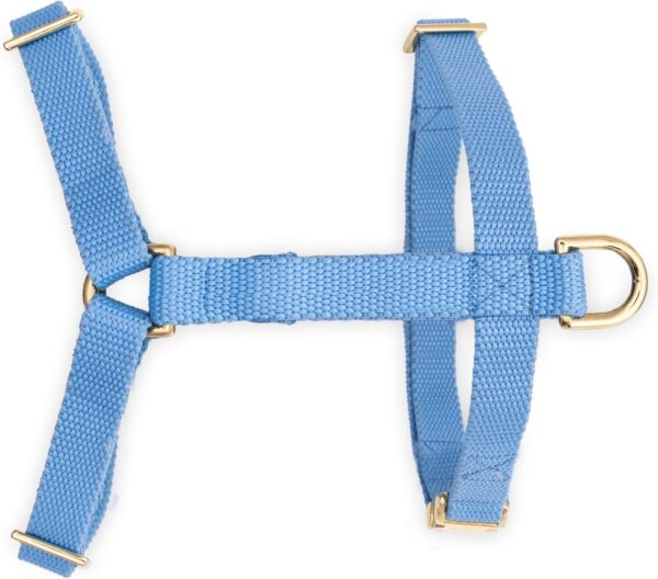 Indestructible Dog Harness, Fully Customizable Fit, No Pull, No Escape, Metal Buckle and Adjusters (Sky Blue, Medium) - Image 7