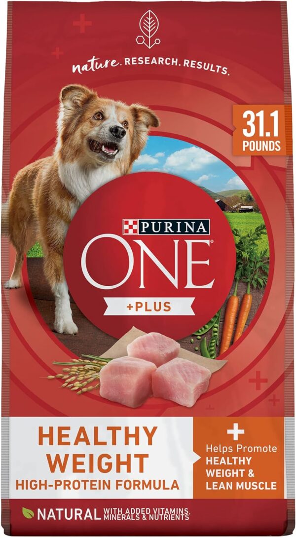 Purina ONE Plus Healthy Weight High-Protein Dog Food Dry Formula - 31.1 Lb. Bag