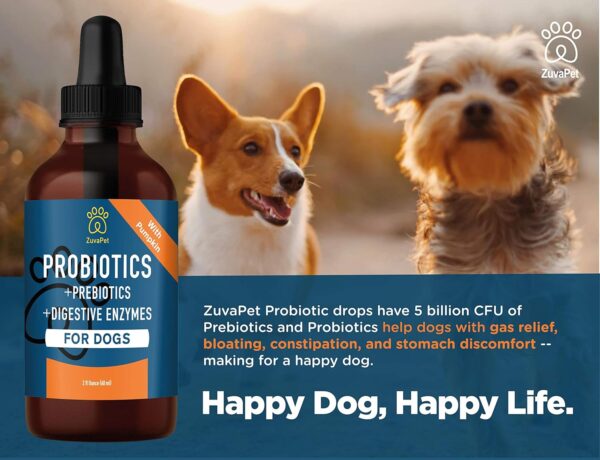 Probiotics for Dogs - Dog Probiotics for Diarrhea - Natural Digestive Enzymes for Upset Stomach Relief + Gas, Constipation Health & Itch Relief - Prebiotic Pet Supplies - 120 Servings - Image 5