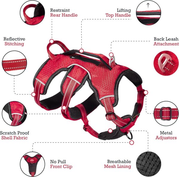 Tuff Pupper Updated for 2024 - Tracker No Escape Dog Harness | Dual Escape Proof Leash Attachments | 5 Point Adjustable Fit Harness for Dogs | Padded Dog Harness for Comfort | Handle Dog Lift Harness - Image 4