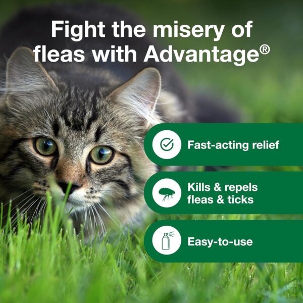 Advantage Cat Flea Treatment Spray | Kills Fleas & Ticks | Cat Flea Spray | 8 oz. - Image 7