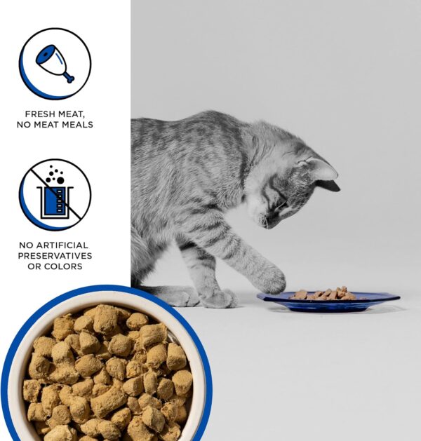 BIXBI Rawbble Freeze Dried Cat Food, Turkey Recipe, 3.5 oz - 94% Meat and Organs, No Fillers - Pantry-Friendly Raw Cat Food for Meal, Treat or Food Topper - USA Made in Small Batches - Image 3