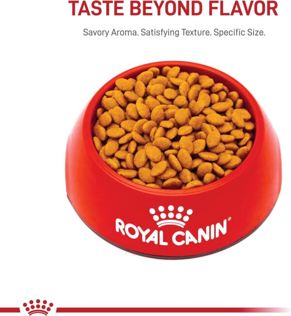 Royal Canin Persian Breed Adult Dry Cat Food, 7 lb bag - Image 6