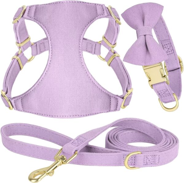 Didog No Pull Dog Harness- Adjustable Lightweight Small Harness Collar and Leash Set, Suitable for Cats Puppies Small Dogs Outdoor Training and Running (Purple, XXS)