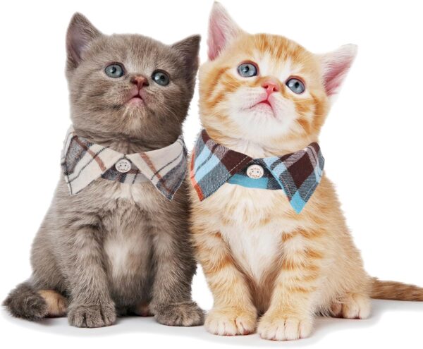 ADOGGYGO Cat Collar Breakaway with Cute Bowtie Bell - 2 Pack Kitten Collar with Removable Shirt Collar Pet Plaid Collars for Cat Kitten (Beige&Blue) - Image 3