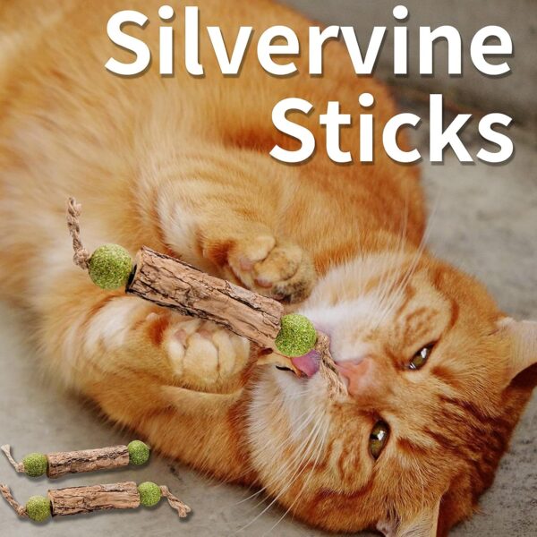 Silvervine Sticks Catnip Toys for Cats, 3 Pack, Interactive Indoor Cat Toy for Teeth Cleaning, Natural Matatabi Chew Treat for Aggressive Chewers. - Image 5