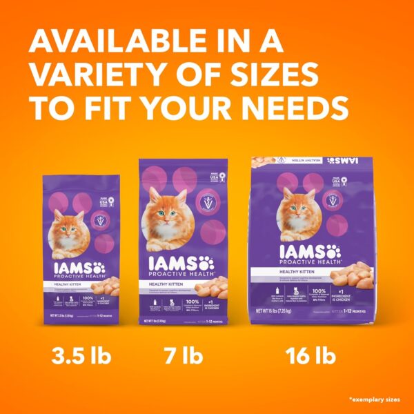 IAMS PROACTIVE HEALTH Healthy Kitten Dry Cat Food with Chicken Cat Kibble, 16 lb. Bag - Image 12