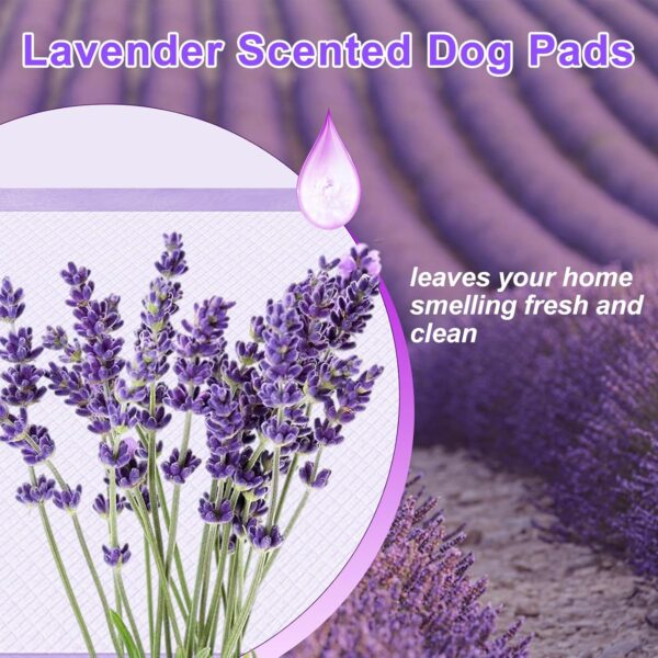 Lavender Scented Super Absorbent & Leak-Proof Puppy Pads, 36"x36" Odor Control Pet Training Dog Pee Pads, Thicken Quick Dry Pee Pads, Potty Training Pads for Dogs Cats, Rabbit - 30Counts - Image 2