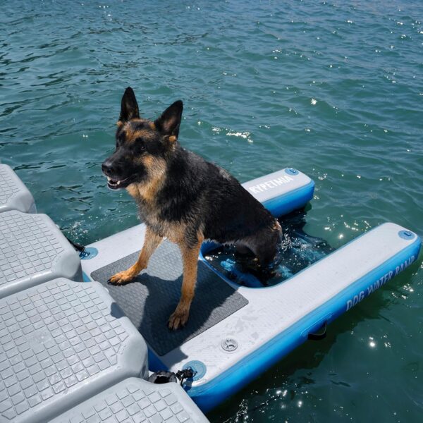 Dog Water Ramp, 60" x 40" Inflatable Dog Float Floating Ramp Ladder for Pools Boats Docks | Dog On Water Ladder Steps | for Swimming Pets Up to 220 Pounds (Blue) - Image 5