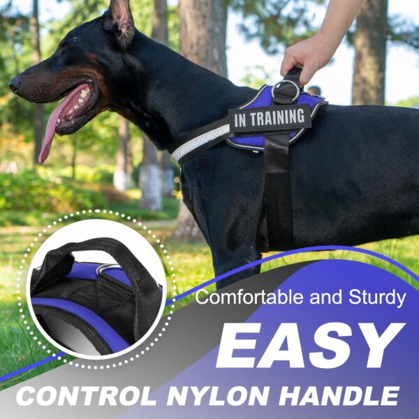 Essential Dog Harness with 3 Leash Clips - No-Pull, Adjustable, Comfortable Pet Vest Harness for Small to Large Dogs - Easy On, No Choke, Reflective, Padded Harness for Walking and Training - Image 5