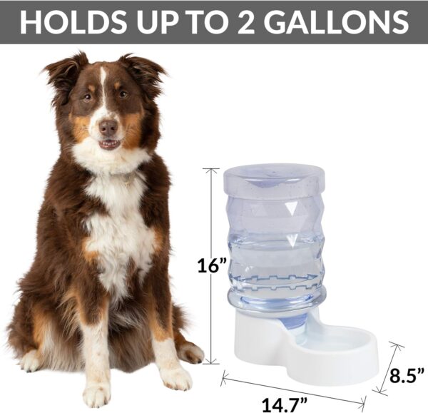 PetFusion H2O Gravity Pet Water Dispenser. Durable 2.5 Gallon Waterer Feeder. Automatic Station for Cats & Small, Medium, Large Dogs, Transparent - Image 2