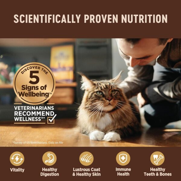 Wellness CORE Tiny Tasters Wet Cat Food Topper, Grain Free, Complete & Balanced Nutrition Made with Real Meat, No-Mess Pouches, 12 Pack (Adult Cat, Seafood Variety Pack) - Image 3