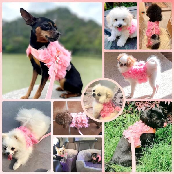 Cute Small Dog Harness and Leash Set Pink Lace Floral Girl Puppy Harness for Small Dogs Cats Soft Mesh Small Sized Dog Vest Harness Escape Proof Pet Cat Harness Outfits - Image 5