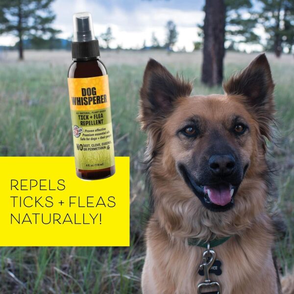 Dog Whisperer Tick + Flea Repellent, All-Natural, Extra Strength, Effective on Dogs and Their People (4 Ounce Spray) - Image 2