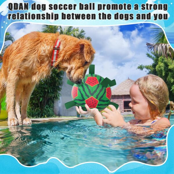 QDAN Watermelon Ball Dog Water Toys- Waterproof Dog Soccer Ball with Straps, Dog Beach Balls for Summer Outdoor Games Swimming Pool with Family Kids, Outdoor Dog Toys (8 inch) - Image 3