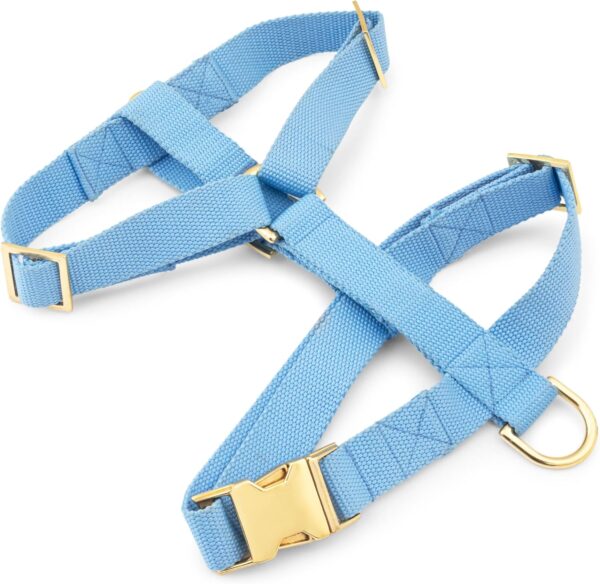 Indestructible Dog Harness, Fully Customizable Fit, No Pull, No Escape, Metal Buckle and Adjusters (Sky Blue, Medium)