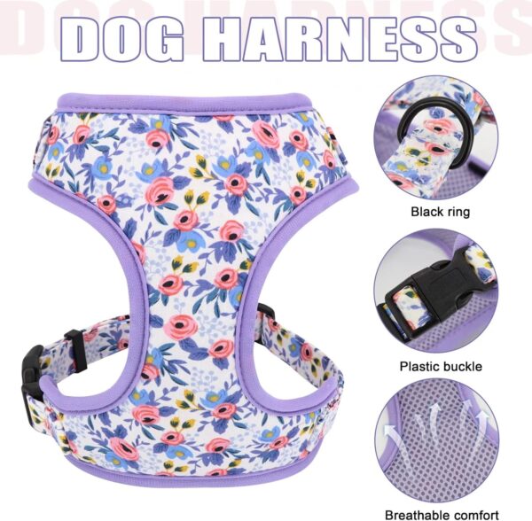 Beirui Cute Girl Dog Collars, Harnesses & Leashes Set - Personalized Dog Collar and Leash Set with Detachable Flower - Soft Mesh Dog Vest Harness Adjustable for Small Medium Large Dogs (Blue,XS) - Image 2