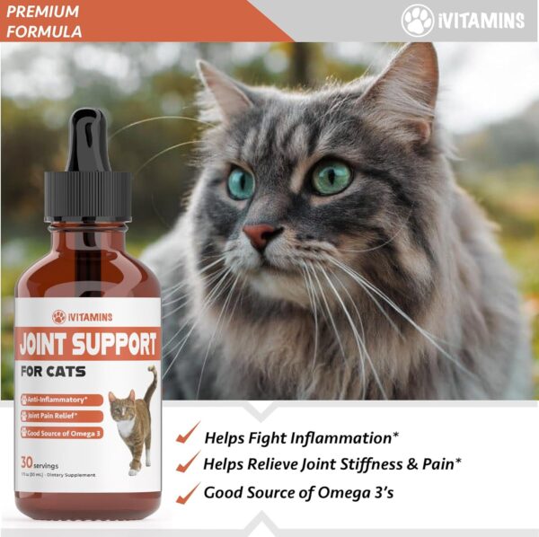 Cat Joint Supplement - Cat Joint Pain Relief - Cat Hip and Joint Supplements Pain Relief - Cat Joint Supplements - Joint Support for Cats - Hip and Joint for Cats - Cat Joint Support - 1 fl oz - Image 3