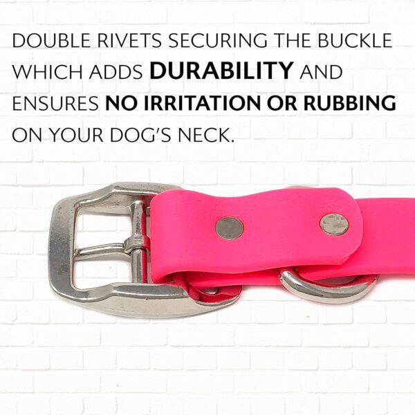 Regal Dog Products Medium Pink Dog Collar with Heavy Duty Double Buckle & D Ring | Vinyl Coated, Custom Fit, Adjustable Biothane Dog Collar | Chew Resistant Waterproof Collar for Dogs - Image 6