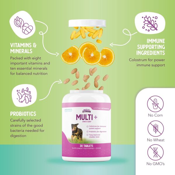 Health Extension Lifetime Multivitamin and Minerals for Dogs & Puppies, Supplements for Immune System, Digestion, Joint Support, Coat & Skin, Contains Vitamin A, D, E, K, B12, 180 Tablets - Image 6