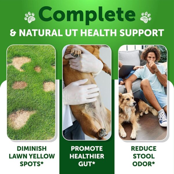 Grass Burn Spot Chews for Dogs - Dog Pee Lawn Spot Saver Caused by Dog Urine - Grass Treatment Rocks - Dog Urine Neutralizer for Lawn - Probiotics & Digestive Enzymes Supplement - Image 2