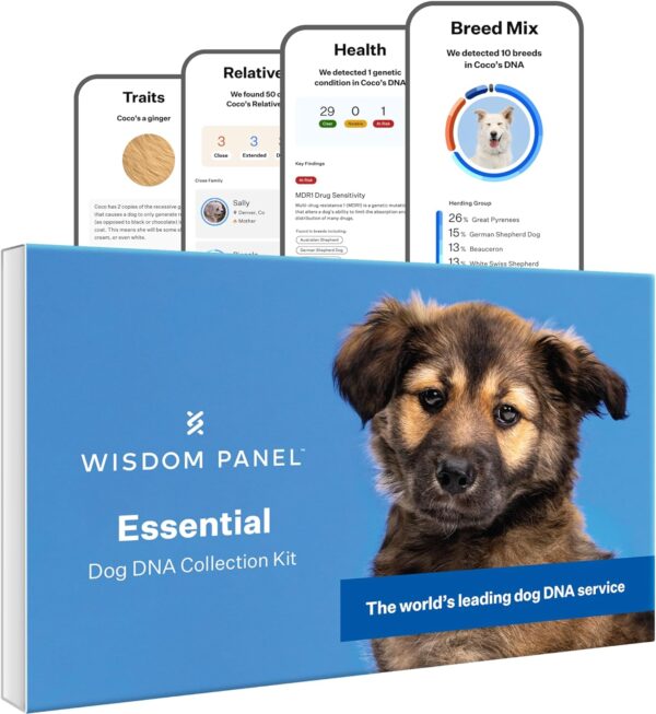 Wisdom Panel Essential Dog DNA Kit: Most Accurate Test for 365+ Breeds, 30 Genetic Health Conditions, 50+ Traits, Relatives, Ancestry - 1 Pack