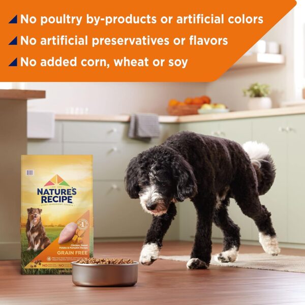 Nature′s Recipe Grain Free Chicken, Sweet Potato & Pumpkin Recipe Dry Dog Food, 4 lb. Bag - Image 7