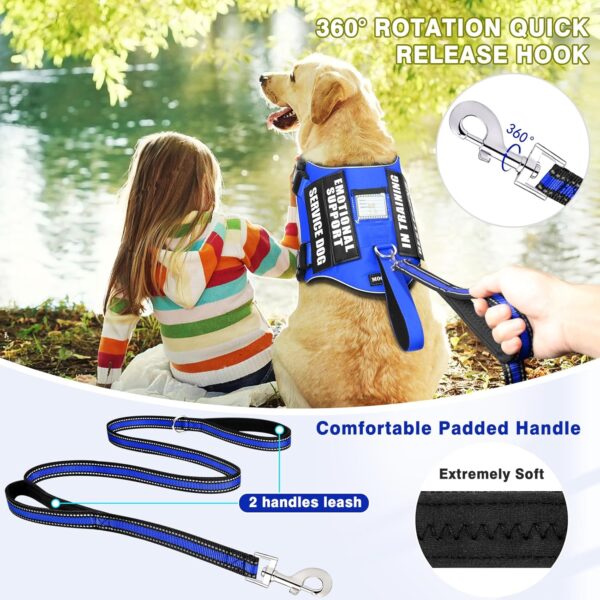 Service Dog Vest Harness and Leash Set+10 Patches,No Pull&Easy Walk Reflective Dog Harness with Soft Padded Handle for Training/Everyday,Fit Small/Medium/Large/Extra-Large Dogs (Blue M) - Image 2