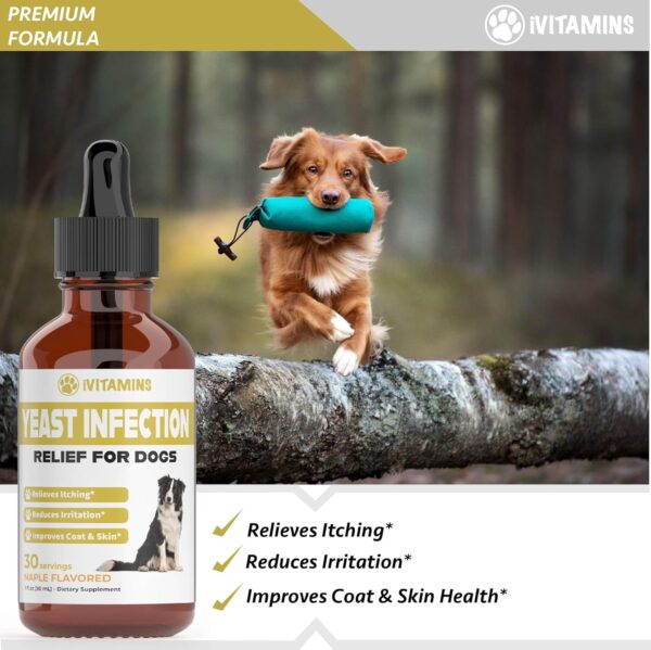 Natural Yeast Infection Treatment for Dogs | Helps to Support Itch Relief, Inflammation Relief & More | Dog Ear Infection Treatment | Dog Itch Relief | Dog Yeast Ear Infection Treatment | Maple Flavor - Image 3