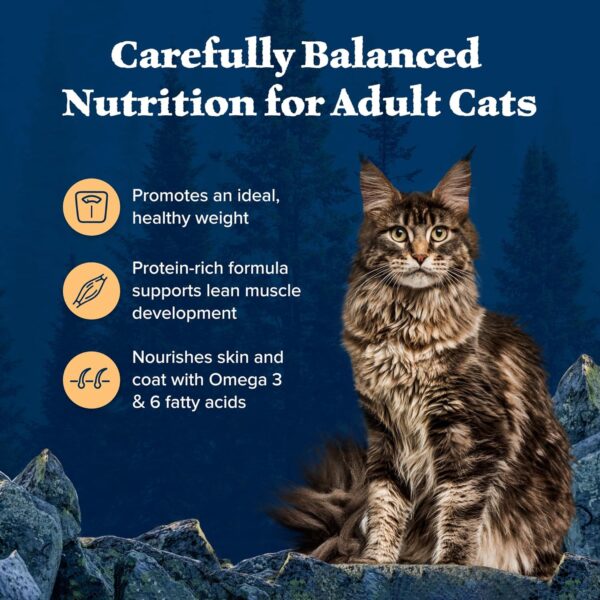 Blue Buffalo Wilderness High Protein, Natural Adult Weight Control Dry Cat Food, Chicken 5-lb - Image 4