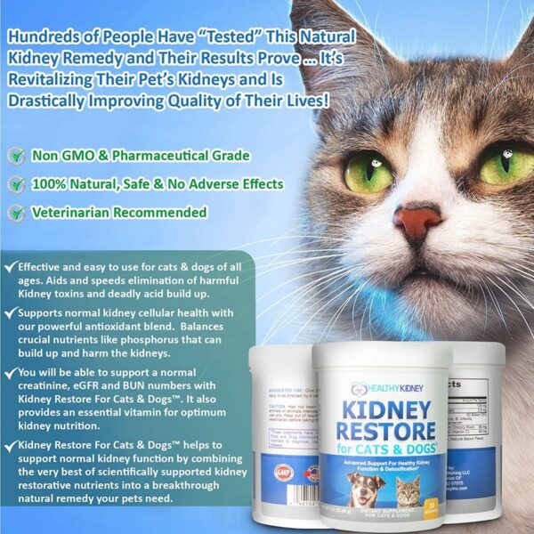 Kidney Restore Cats & Dogs Unflavored for Supporting Normal Kidney Function, Creatinine, Pet Renal Kidney Health Supplement Felines Canines - Image 6