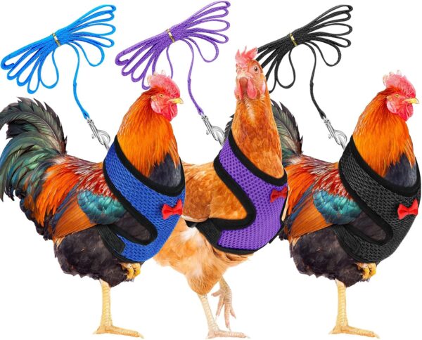 Boao 3 Pieces Adjustable Easter Chicken Harness and Leash for Hen Roosters Comfortable Hen Vest with Matching Belt Breathable Training Harness for Chicken, Duck Goose, Pet(Blue, Black, Purple,M)