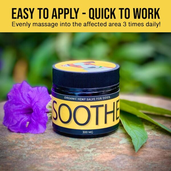 SOOTHE - Hemp Salve for Natural Dog Allergy Relief & Everyday Bug Bite & Hot Spot Itch Relief for Dogs - Made with Natural Extracts & Human-Grade Hemp Oil for Dogs - Image 6