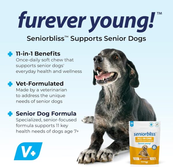 Vetnique Seniorbliss Senior Dog Multivitamin with Glucosamine, Omega 3 Fish Oil, and Probiotics - for Dog Joints, Digestive and Immune Support for Optimal Health (All-in-One Daily Vitamin, 30ct) - Image 3