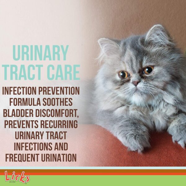 Licks Pill-Free Cat Urinary Tract Care - Cat UTI Care and Prevention Gel Packets - Urinary Tract Infection Supplement for Cats - Omega 3 Fish Oil and L-Lysine Supplement - Gel Packets - 30 Use - Image 3