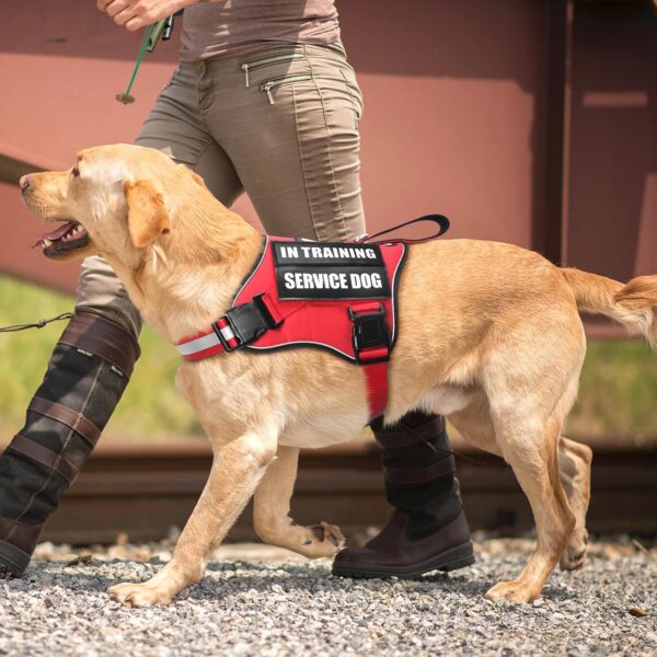 Service Dog Vest Harness and Leash Set+10 Patches,No Pull&Adjustable Reflective Dog Harness with Soft Padded Handle for Training/Everyday,Fit Small/Medium/Large/Extra-Large Dogs(Red M) - Image 7