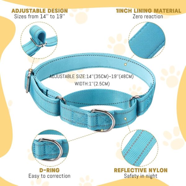 Cunno 12 Pcs Martingale Collar for Medium Dogs Reflective Dog Collar with Durable Metal Buckle Adjustable Nylon Pet Collar Prevent Slipping out Puppy Collars for Dog, 12 Colors (Large) - Image 2