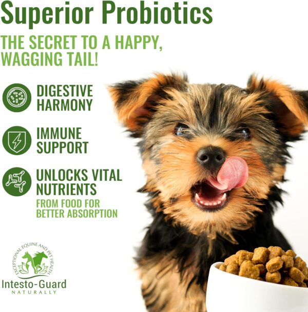 Powder Probiotics 90 Scoops​ for Dogs & Cats Bowel Digestive Immune Support Supports Gut Flora Nutrition Immunity 180G Bottle - 90 Scoops​ (Powder) - Image 4